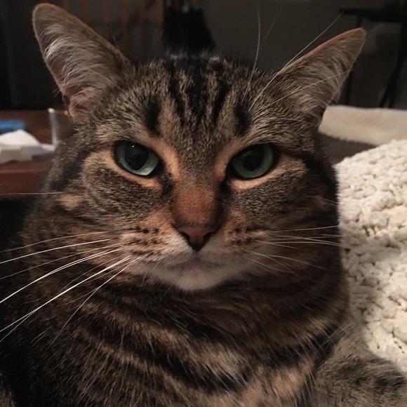 Meet your Posher, Melissa - Picture 1 of 1